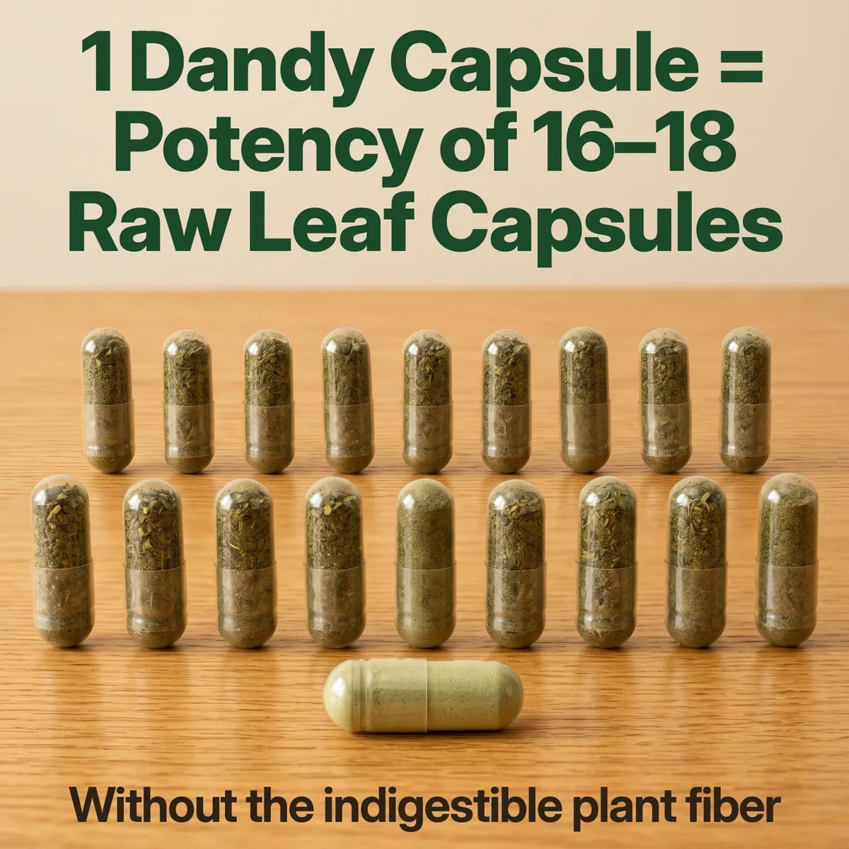1 Dandy Capsule = Potency of 16–18 Raw Leaf Capsules. Without the indigestible plant fiber. One clear Dandy capsule of fine green powder in front of two rows of nine darker raw-leaf capsules