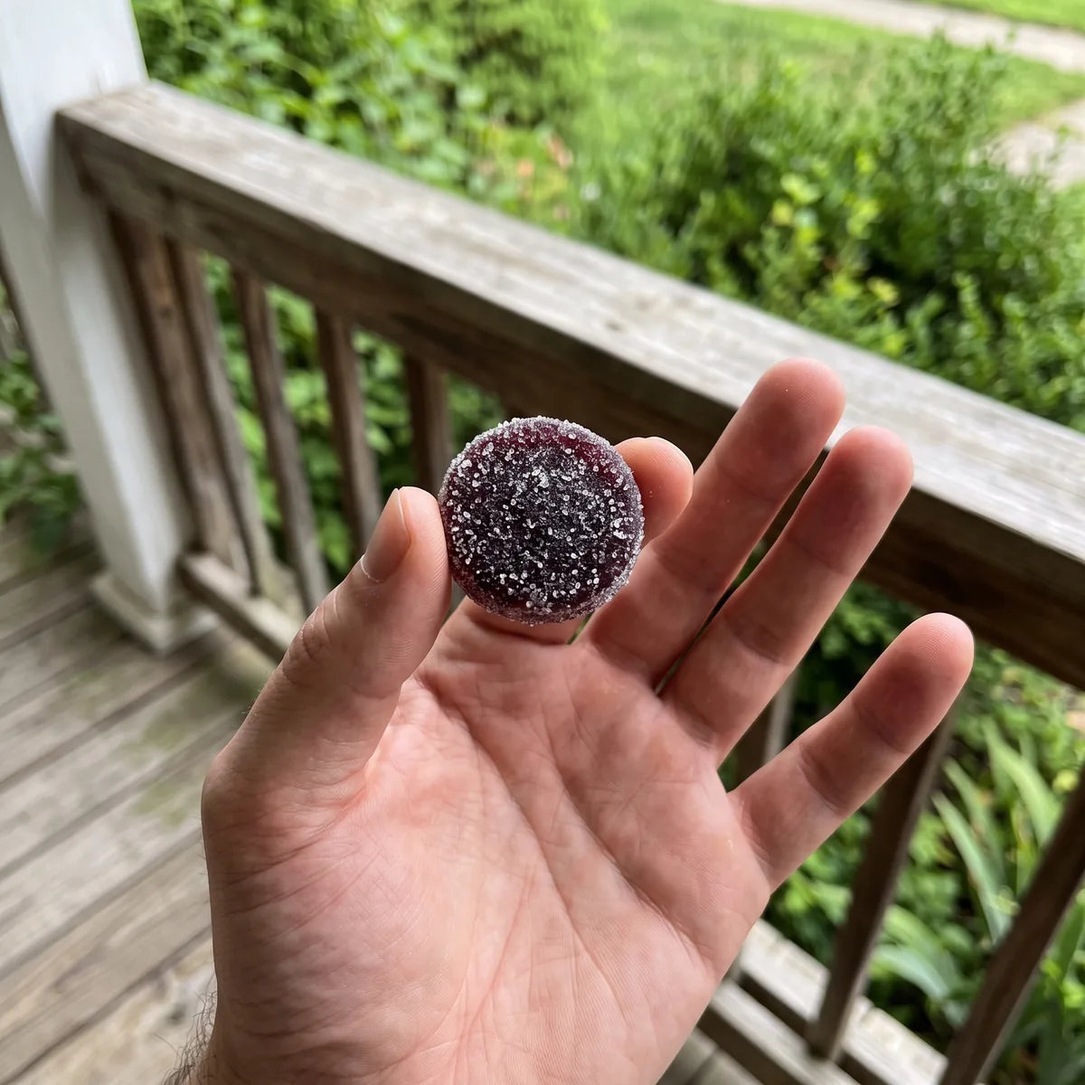 A hand holding one Dandy gummy on a porch