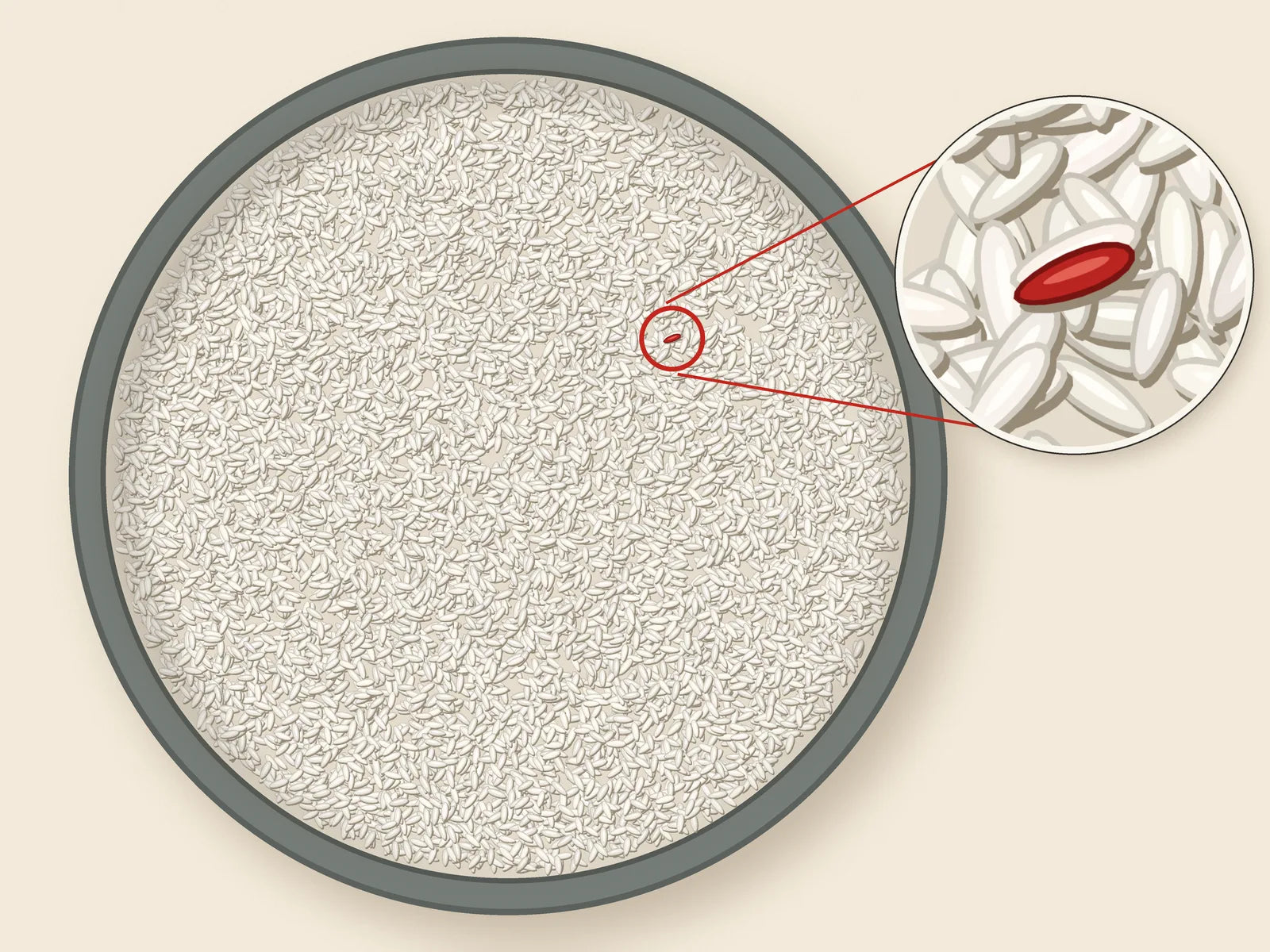 A bowl of about ten thousand white rice grains with a single red grain circled