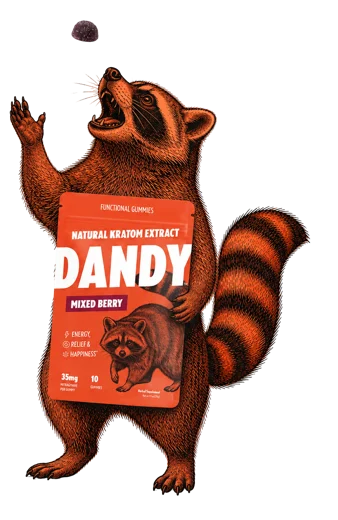 Illustration of the Dandy raccoon catching a single gummy